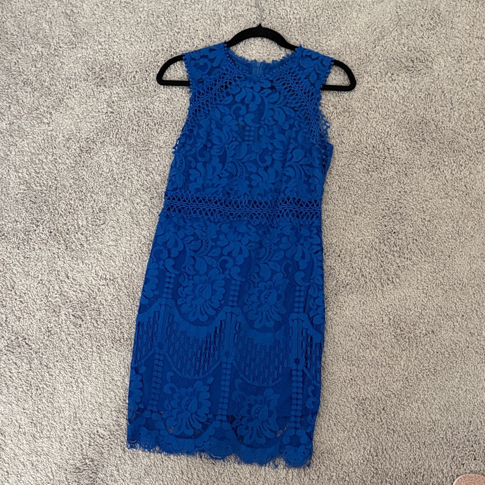 Amazon Essentials Blue Floral Lace Midi Dress